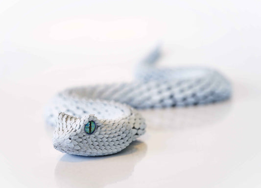 Bush Viper