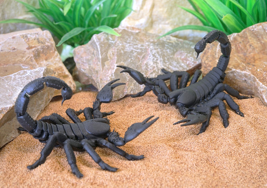 Realistic Articulated Scorpion - CUBO Design