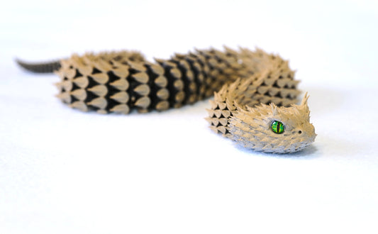 Desk Viper Snake Toy