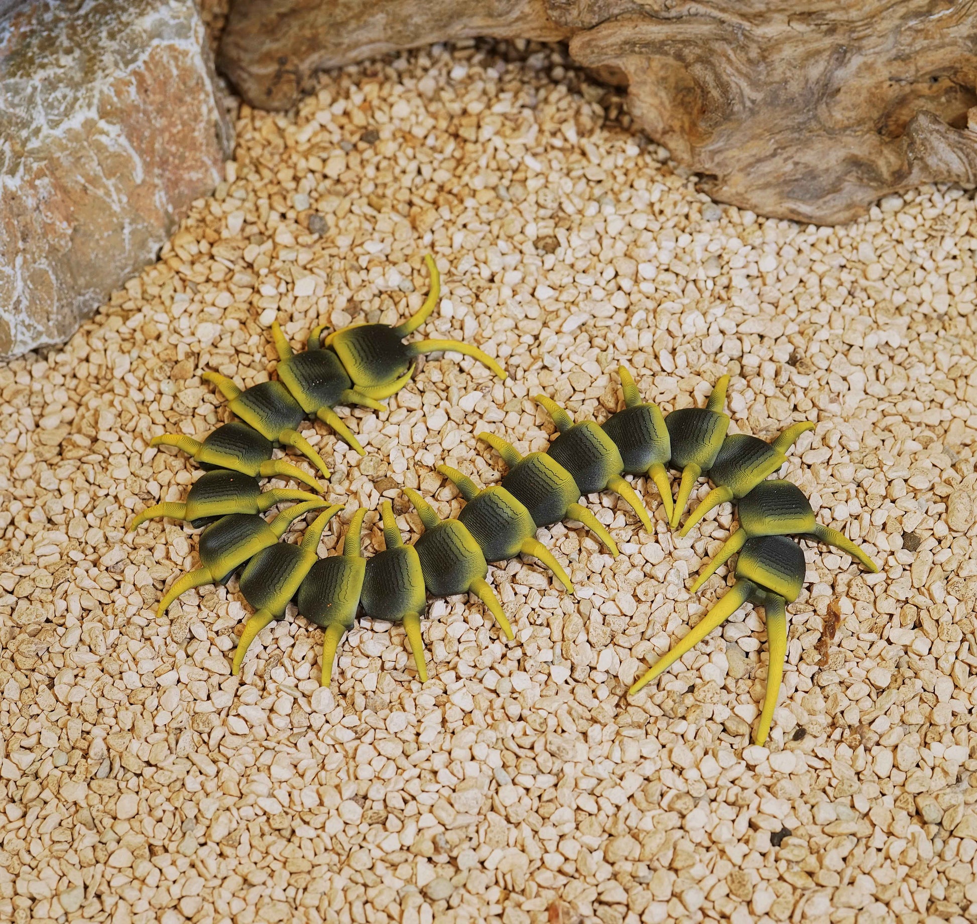 Centipede Figure