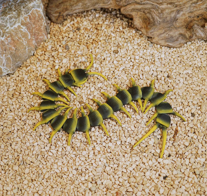 Centipede Figure