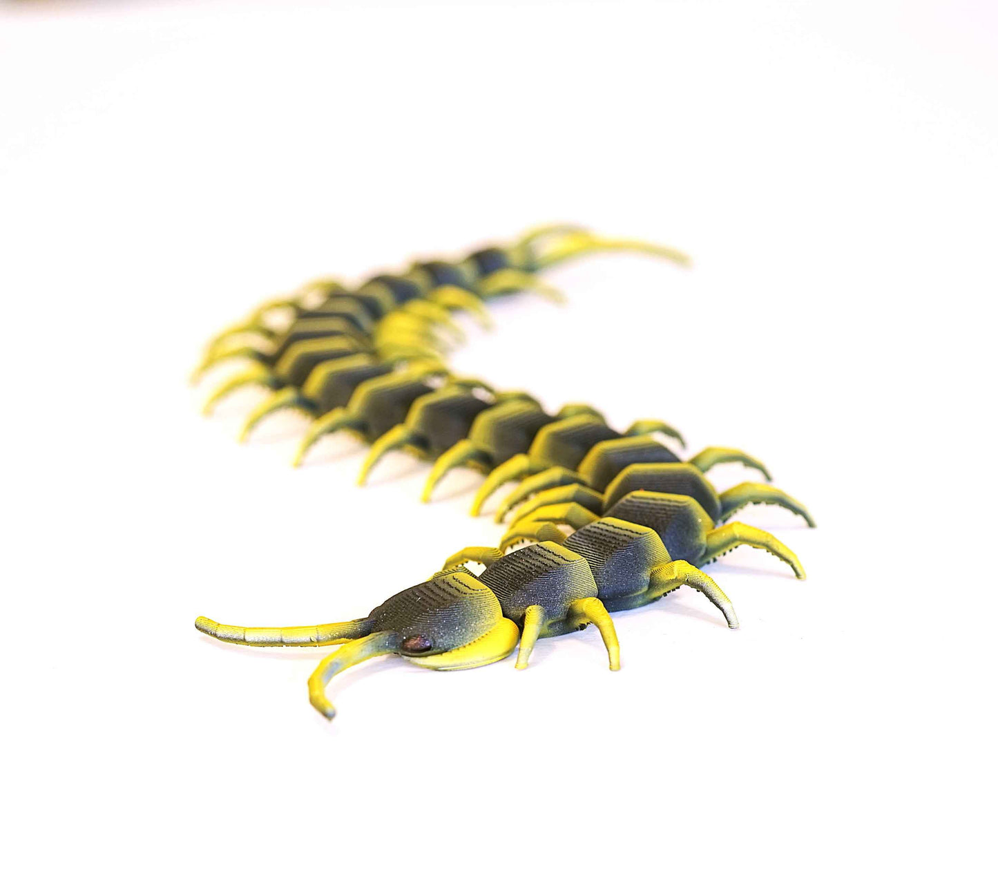 Centipede Figure