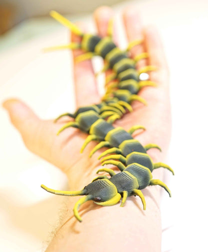 Centipede Figure
