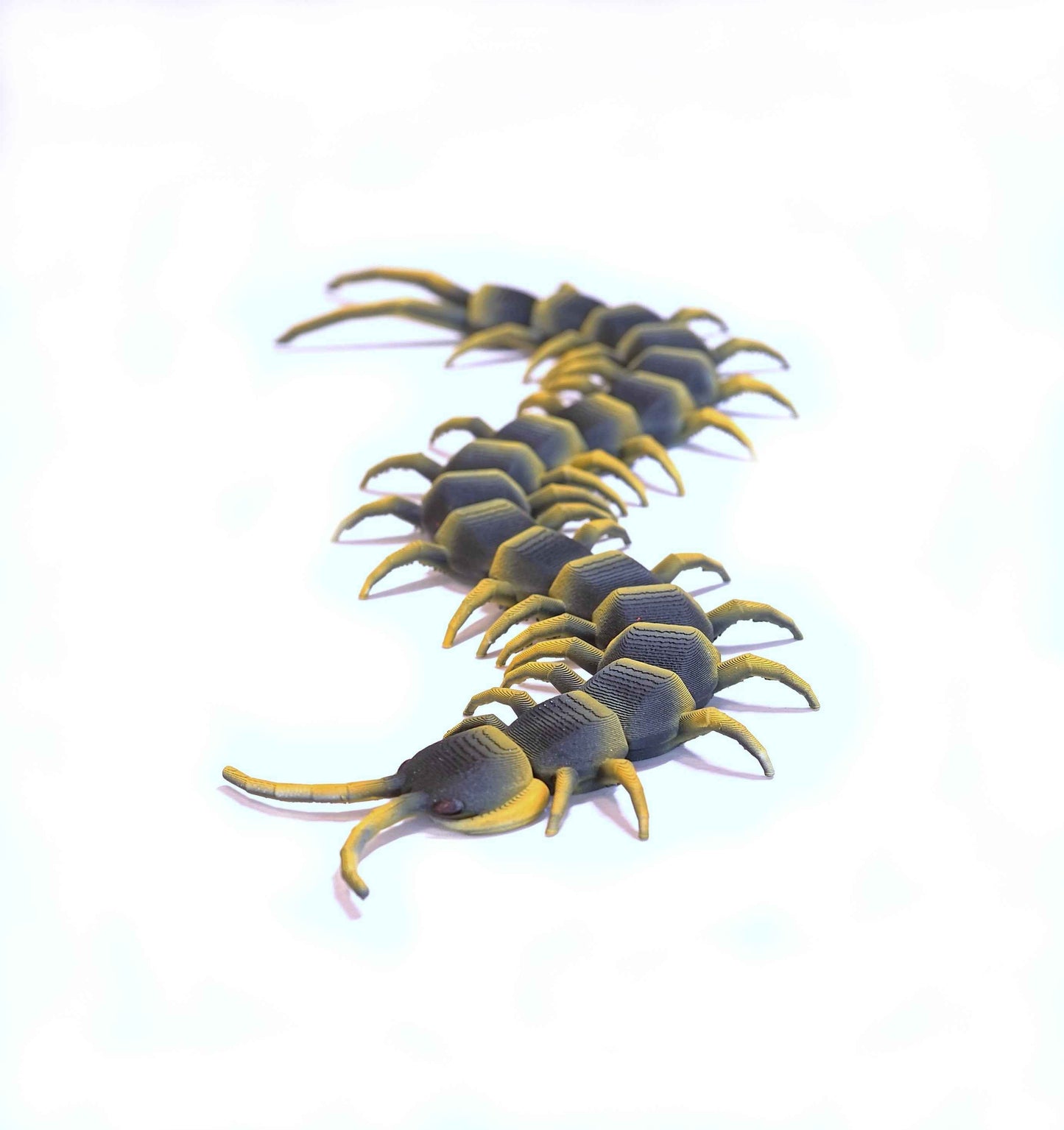 Centipede Figure