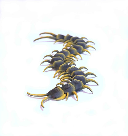 Centipede Figure