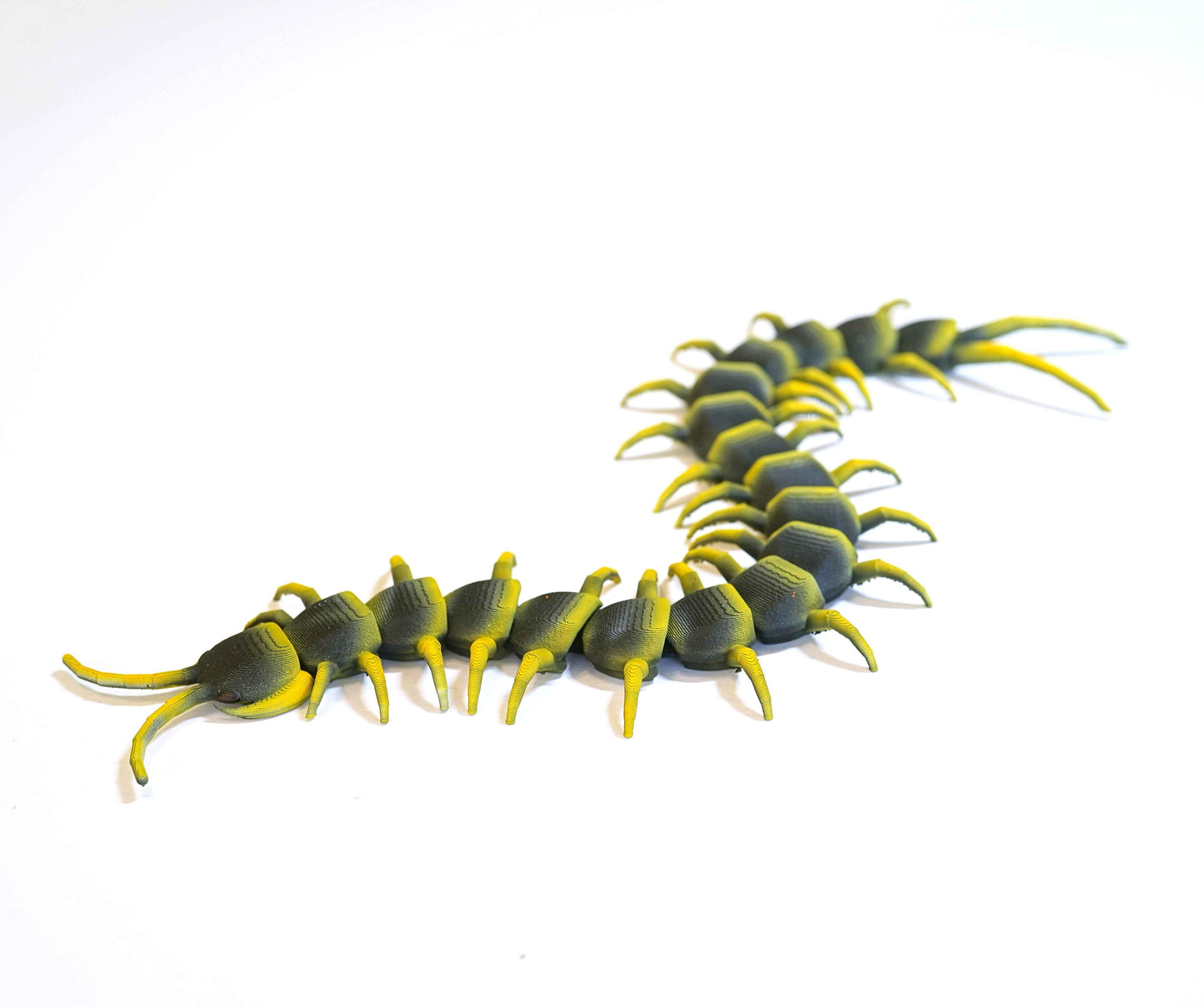 Centipede Figure