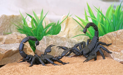 Realistic Articulated Scorpion - CUBO Design