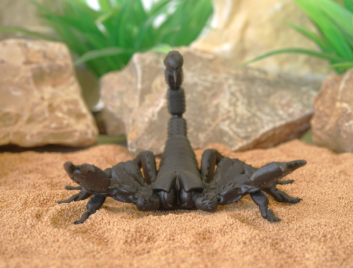 Realistic Articulated Scorpion - CUBO Design