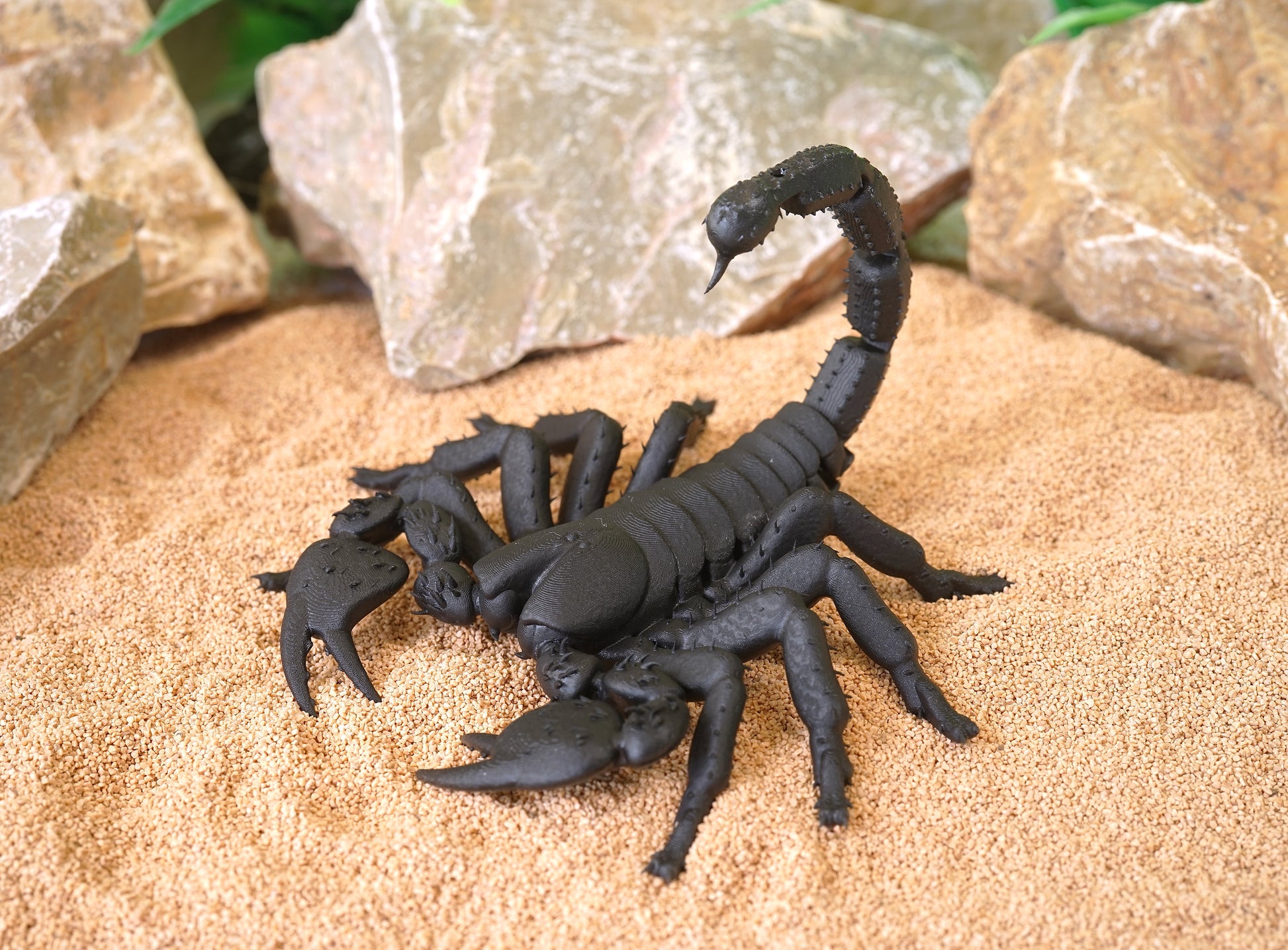 Realistic Articulated Scorpion - CUBO Design