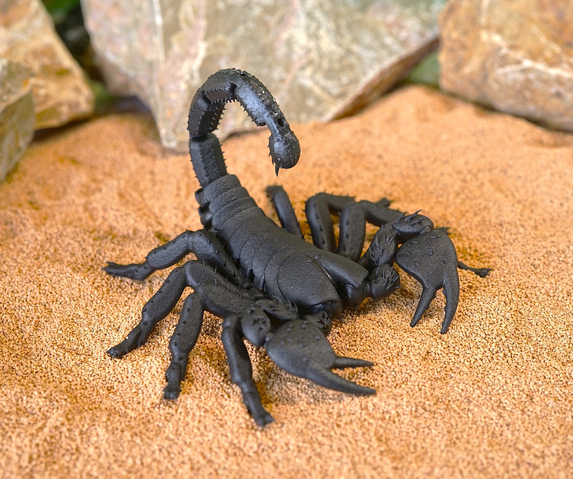 Realistic Articulated Scorpion - CUBO Design