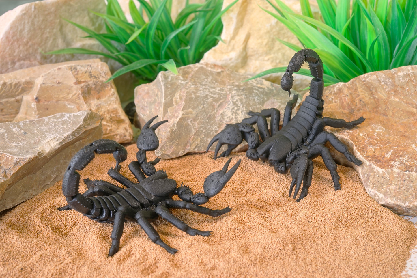 Realistic Articulated Scorpion - CUBO Design