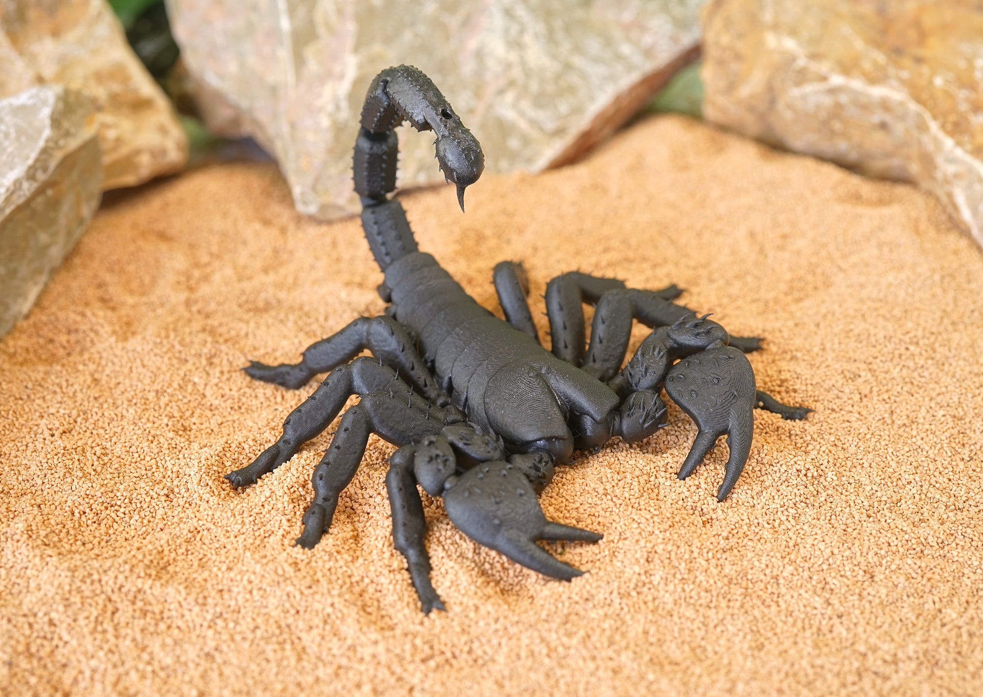 Realistic Articulated Scorpion - CUBO Design