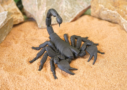 Realistic Articulated Scorpion - CUBO Design