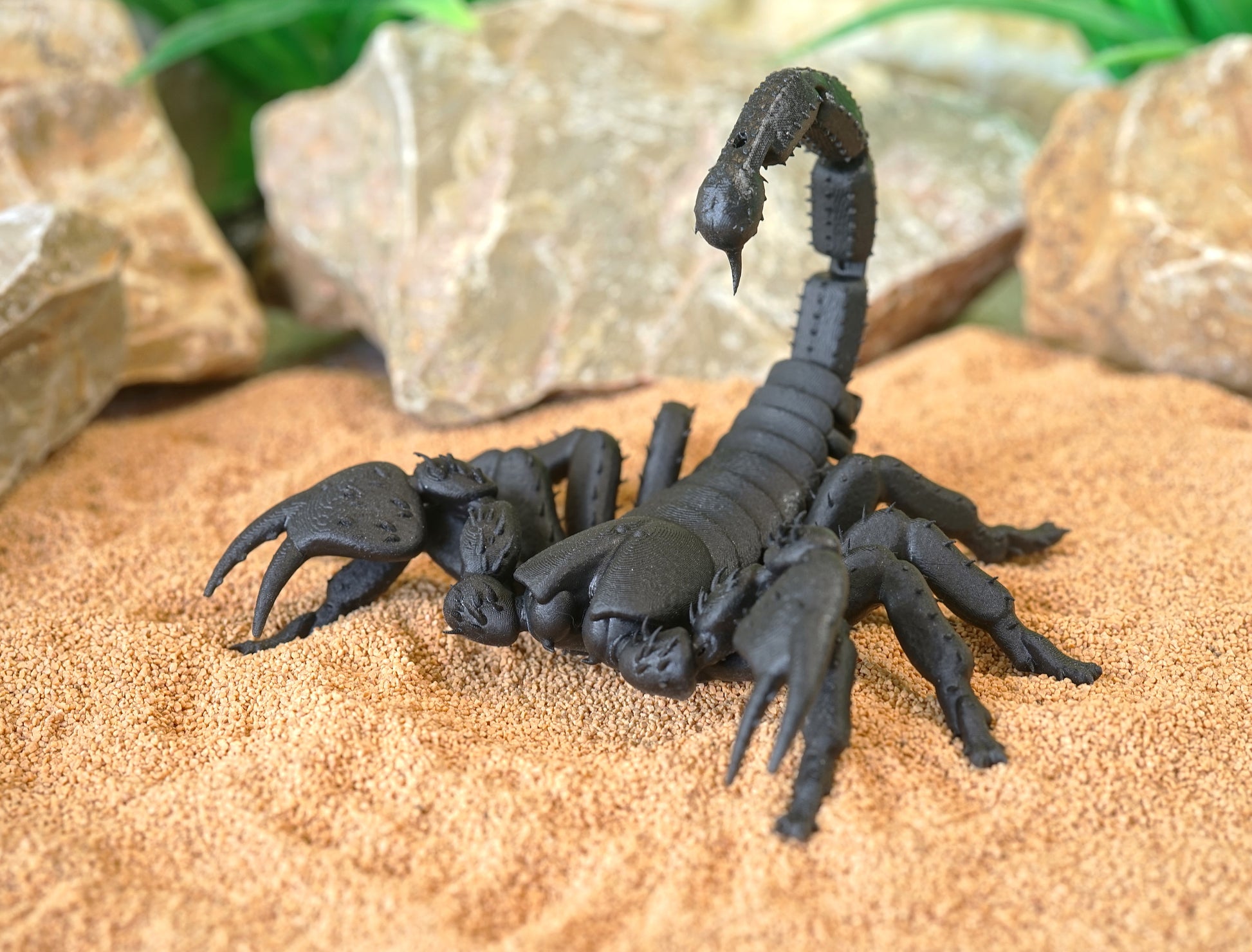 Realistic Articulated Scorpion - CUBO Design