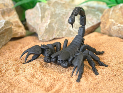 Realistic Articulated Scorpion - CUBO Design