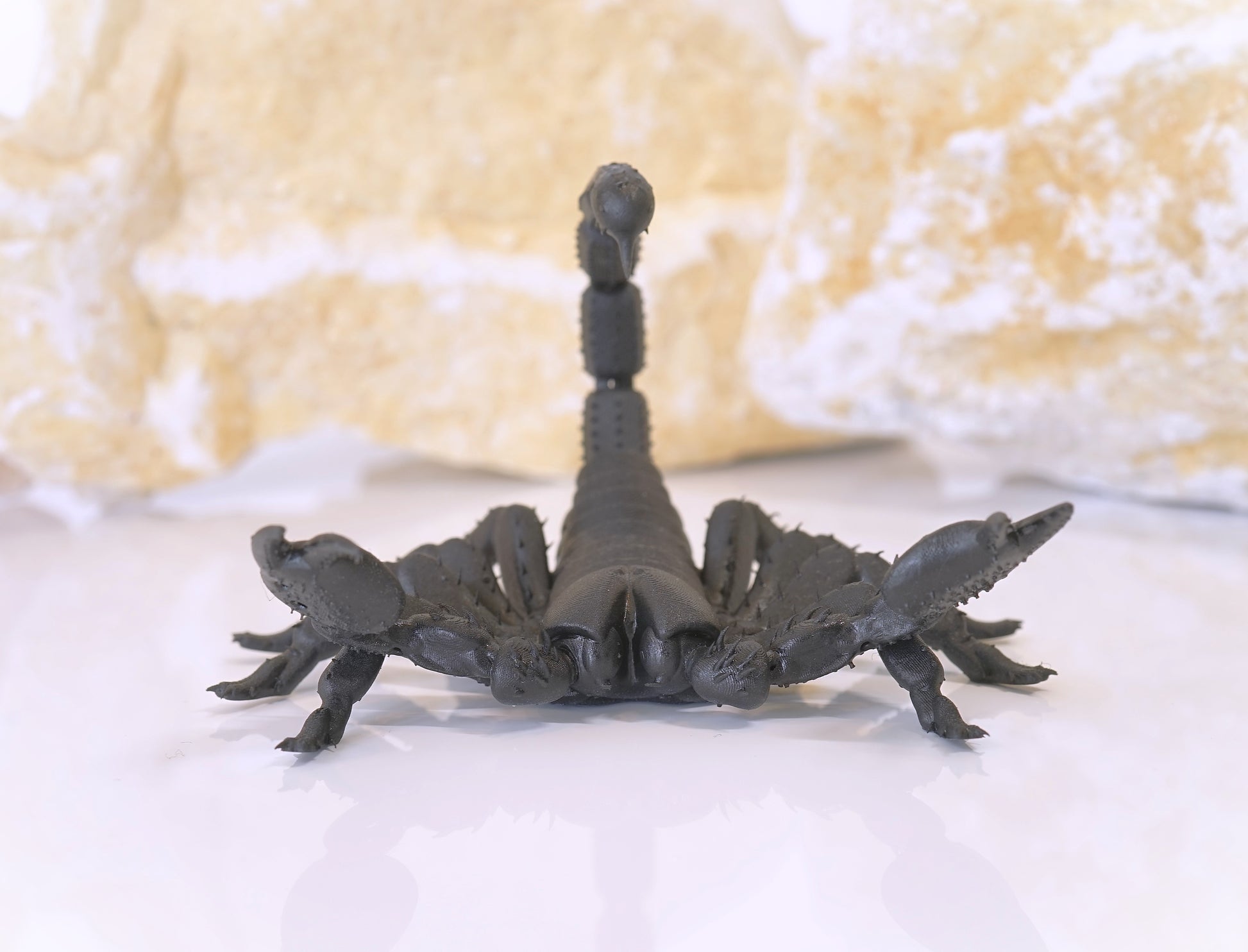 Realistic Articulated Scorpion - CUBO Design