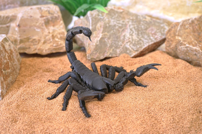 Realistic Articulated Scorpion - CUBO Design