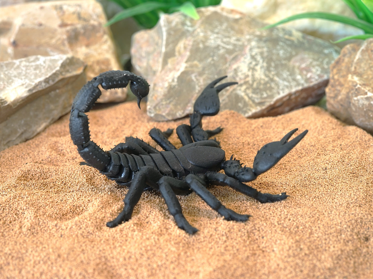 Realistic Articulated Scorpion - CUBO Design