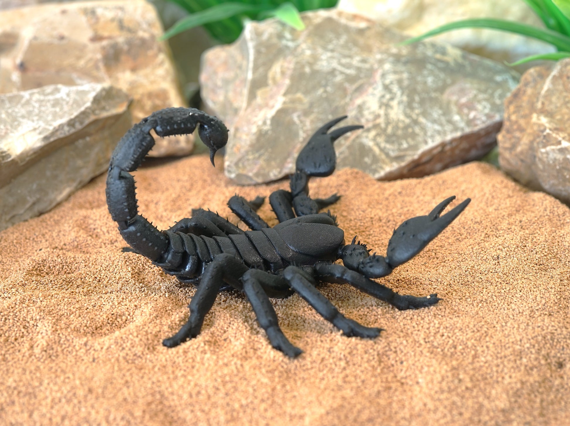Realistic Articulated Scorpion - CUBO Design