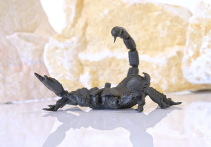 Realistic Articulated Scorpion - CUBO Design